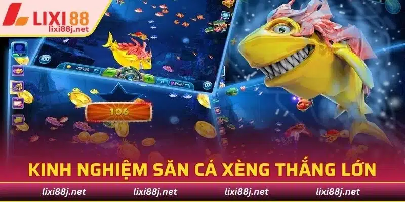 Mách bạn kinh nghiệm săn cá xèng hiệu quả, thắng lớn